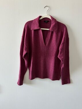 J. Crew Collared V-Neck Sweater - Berry Plum